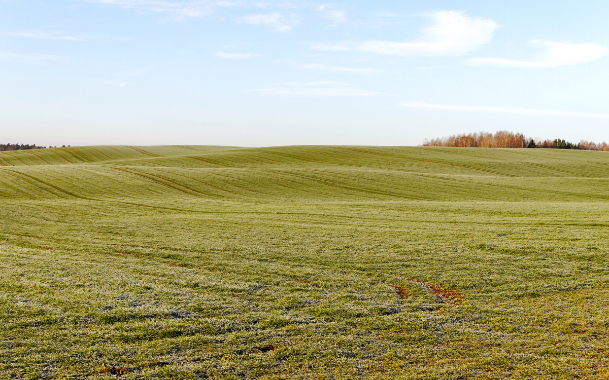What a Virtual Tour Can (and Can't) Tell You About Rural Property in Southeastern Oklahoma